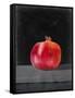 Fruit on Shelf V-Naomi McCavitt-Framed Stretched Canvas