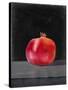 Fruit on Shelf V-Naomi McCavitt-Stretched Canvas