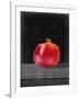 Fruit on Shelf V-Naomi McCavitt-Framed Art Print