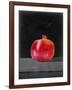 Fruit on Shelf V-Naomi McCavitt-Framed Art Print