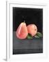 Fruit on Shelf VI-Naomi McCavitt-Framed Art Print