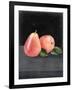 Fruit on Shelf VI-Naomi McCavitt-Framed Art Print