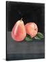 Fruit on Shelf VI-Naomi McCavitt-Stretched Canvas