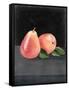 Fruit on Shelf VI-Naomi McCavitt-Framed Stretched Canvas