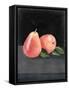 Fruit on Shelf VI-Naomi McCavitt-Framed Stretched Canvas