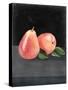 Fruit on Shelf VI-Naomi McCavitt-Stretched Canvas