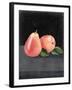 Fruit on Shelf VI-Naomi McCavitt-Framed Art Print