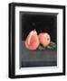 Fruit on Shelf VI-Naomi McCavitt-Framed Art Print