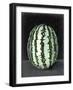 Fruit on Shelf VII-Naomi McCavitt-Framed Art Print