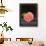 Fruit on Shelf VIII-Naomi McCavitt-Framed Art Print displayed on a wall