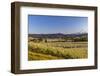 Fruit orchards in full bloom with Mount Hood in Hood River, Oregon, USA-Chuck Haney-Framed Photographic Print