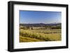 Fruit orchards in full bloom with Mount Hood in Hood River, Oregon, USA-Chuck Haney-Framed Photographic Print