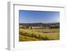 Fruit orchards in full bloom with Mount Hood in Hood River, Oregon, USA-Chuck Haney-Framed Photographic Print