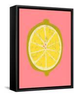 Fruit Party II-Chariklia Zarris-Framed Stretched Canvas