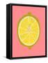 Fruit Party II-Chariklia Zarris-Framed Stretched Canvas