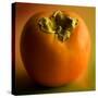 Fruit Persimmon-null-Stretched Canvas