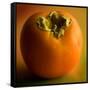 Fruit Persimmon-null-Framed Stretched Canvas