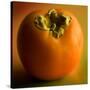 Fruit Persimmon-null-Stretched Canvas