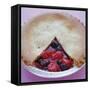 Fruit Pie-David Munns-Framed Stretched Canvas
