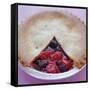 Fruit Pie-David Munns-Framed Stretched Canvas