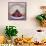 Fruit Pie-David Munns-Framed Stretched Canvas displayed on a wall