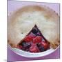 Fruit Pie-David Munns-Mounted Photographic Print