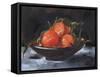 Fruit Plate II-Jennifer Parker-Framed Stretched Canvas