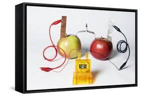 Fruit-powered Clock-Friedrich Saurer-Framed Stretched Canvas