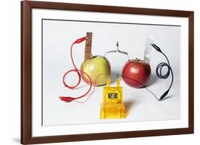 Fruit-powered Clock-Friedrich Saurer-Framed Photographic Print
