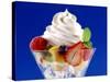 Fruit Salad with Cream Topping-null-Stretched Canvas