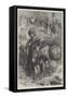 Fruit-Sellers Going to Jerusalem-William J. Webbe-Framed Stretched Canvas