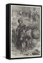 Fruit-Sellers Going to Jerusalem-William J. Webbe-Framed Stretched Canvas