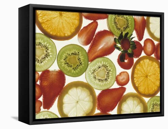 Fruit Slice Still Life-Nicolas Leser-Framed Stretched Canvas