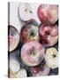 Fruit Slices I-Jennifer Parker-Stretched Canvas