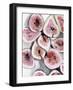 Fruit Slices II-Jennifer Parker-Framed Art Print