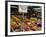 Fruit Stall at Viktualienmarkt, Munich, Bavaria, Germany-Yadid Levy-Framed Photographic Print