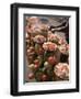 Fruit Stall, Delhi, India-John Henry Claude Wilson-Framed Photographic Print