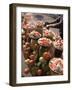 Fruit Stall, Delhi, India-John Henry Claude Wilson-Framed Photographic Print