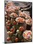 Fruit Stall, Delhi, India-John Henry Claude Wilson-Mounted Photographic Print