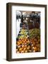 Fruit Stall in Market in Alberobello, Puglia, Italy, Europe-Martin-Framed Photographic Print