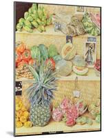 Fruit-Stall, La Laguinilla, 1998-James Reeve-Mounted Giclee Print