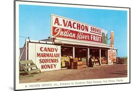 Fruit Stand, Ft. Pierce, Florida-null-Mounted Art Print