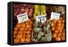 Fruit Stand III-Maureen Love-Framed Stretched Canvas