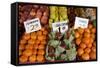 Fruit Stand III-Maureen Love-Framed Stretched Canvas