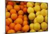 Fruit Stand (Oranges and Grapefruits) Art Poster Print-null-Mounted Poster