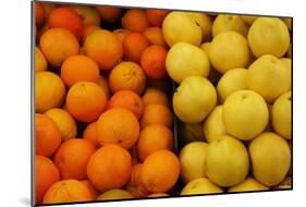 Fruit Stand (Oranges and Grapefruits) Art Poster Print-null-Mounted Poster