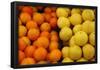 Fruit Stand (Oranges and Grapefruits) Art Poster Print-null-Framed Poster