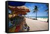 Fruit Stands on Playa Del Carmen, Mexico-George Oze-Framed Stretched Canvas