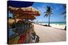 Fruit Stands on Playa Del Carmen, Mexico-George Oze-Stretched Canvas
