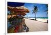 Fruit Stands on Playa Del Carmen, Mexico-George Oze-Framed Photographic Print